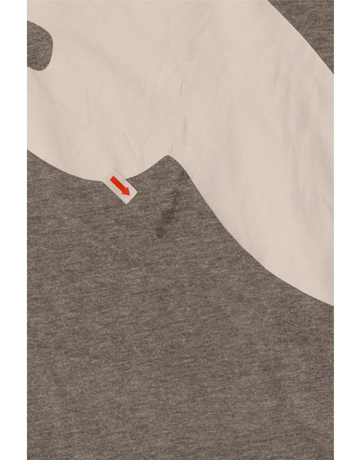 PUMA Muška majica kratkih rukava s grafičkim motivima 2XL siva