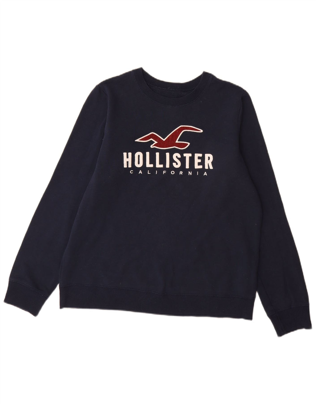Hollister muška trenirka s grafičkim motivima Srednji tamnoplavi pamuk