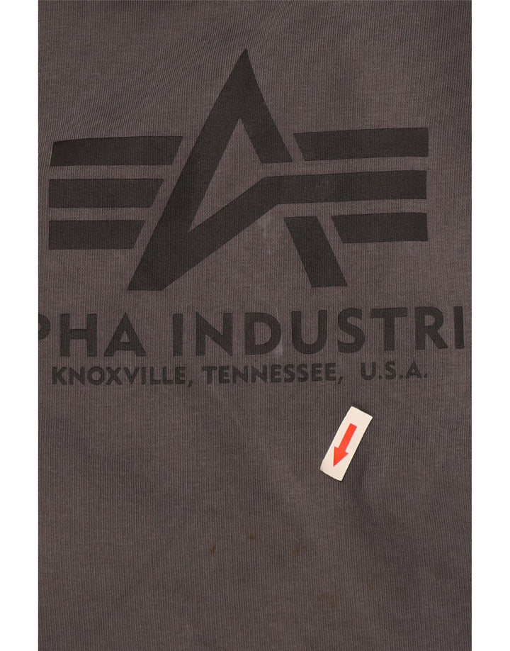 Alpha Industries muška majica s grafičkim motivima, mali sivi pamuk