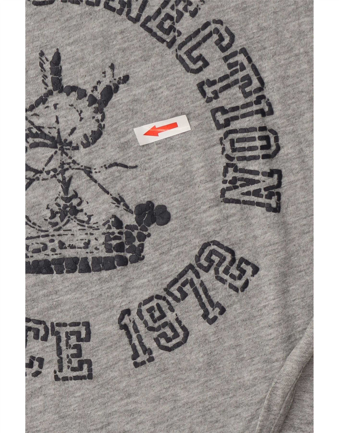 French Connection muška majica kratkih rukava s grafičkim motivima, srednje sivi flekasti pamuk