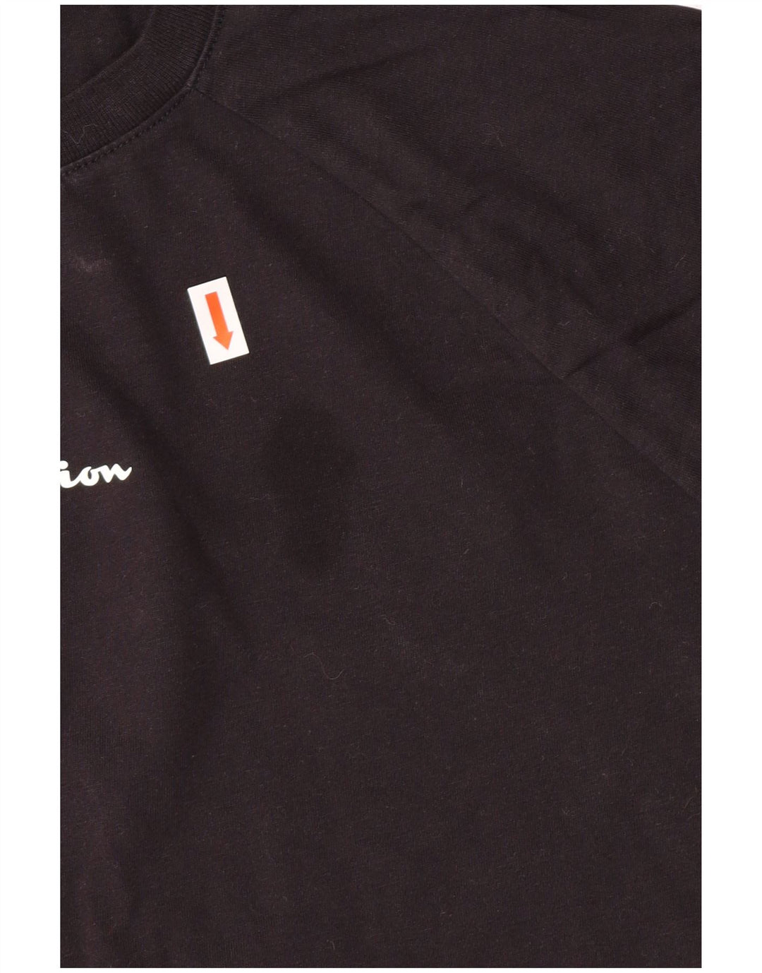 Champion ženska majica kratkih rukava s grafičkim motivima XL, crni pamuk