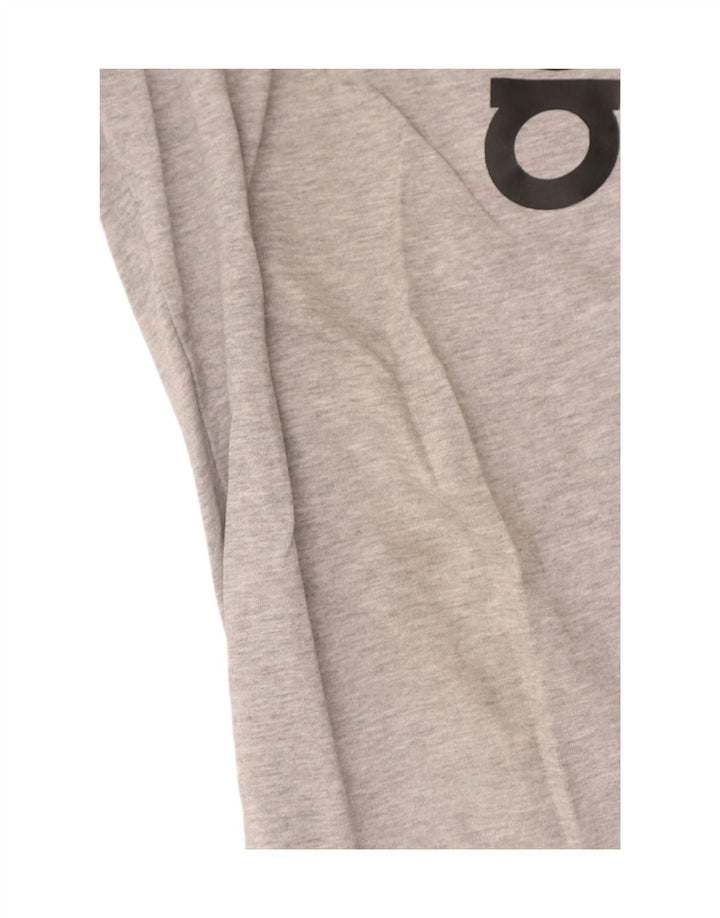 Adidas muške hlače za trenirku Graphic Large Grey