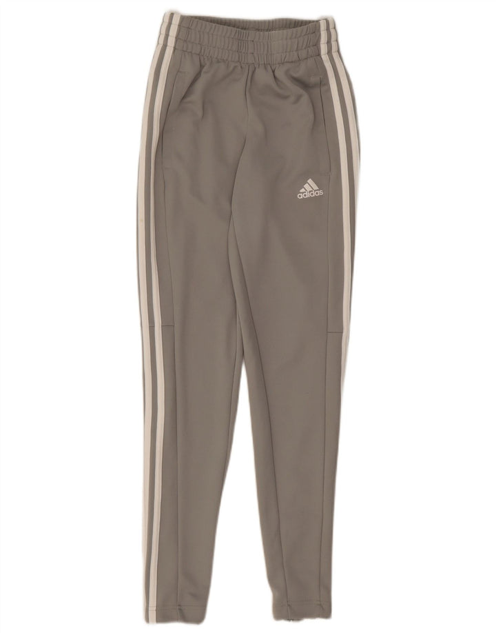 Adidas ženske hlače za trenirku UK 0/2 2XS sivi poliester