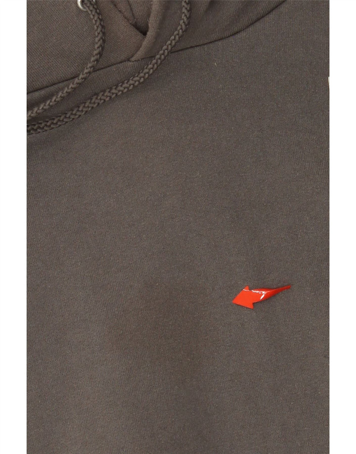 CHAMPION Muška majica s kapuljačom XL s grafičkim medvjedima, sivi pamuk