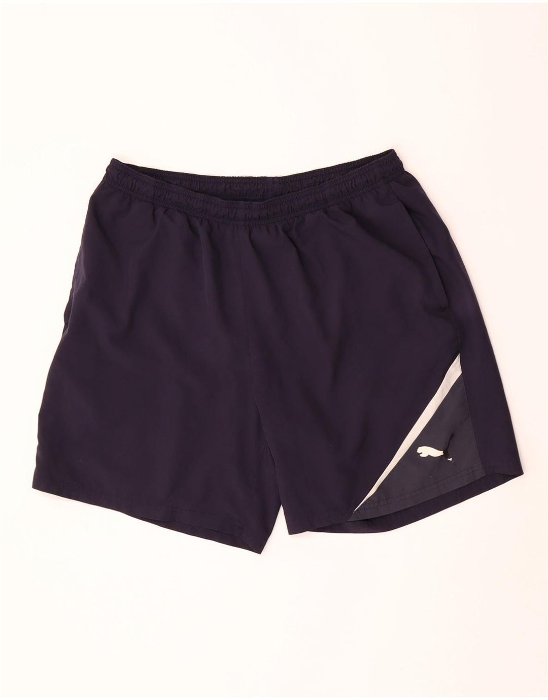 Mens Sport Shorts Large