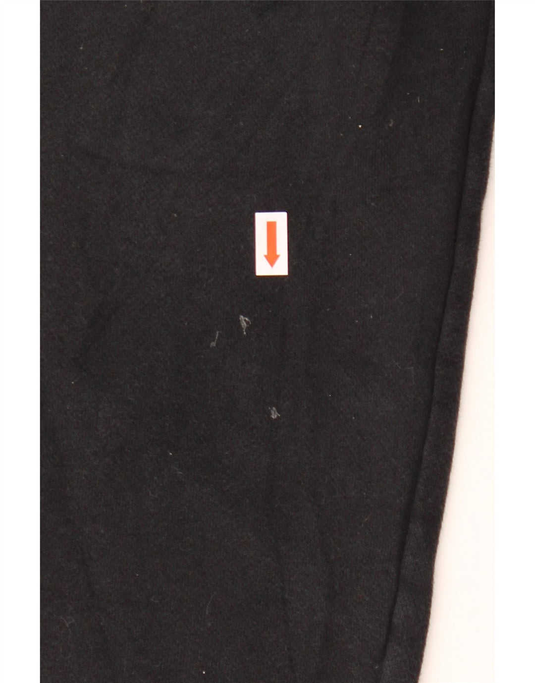 PUMA Boys Graphic Trenirka Hlače Joggers 10-11 godina srednje crne