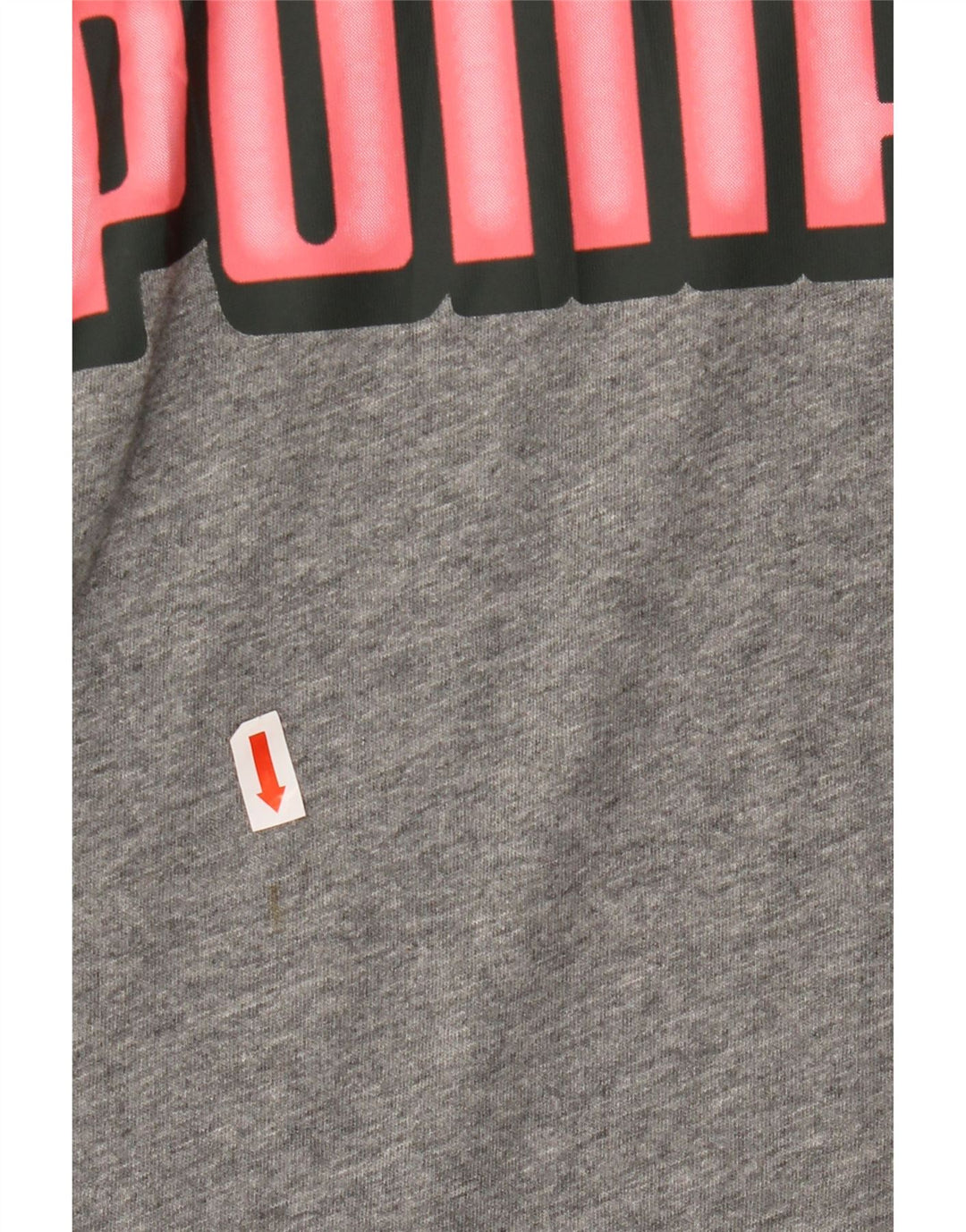 PUMA Muška majica kratkih rukava s grafičkim motivima, velika siva