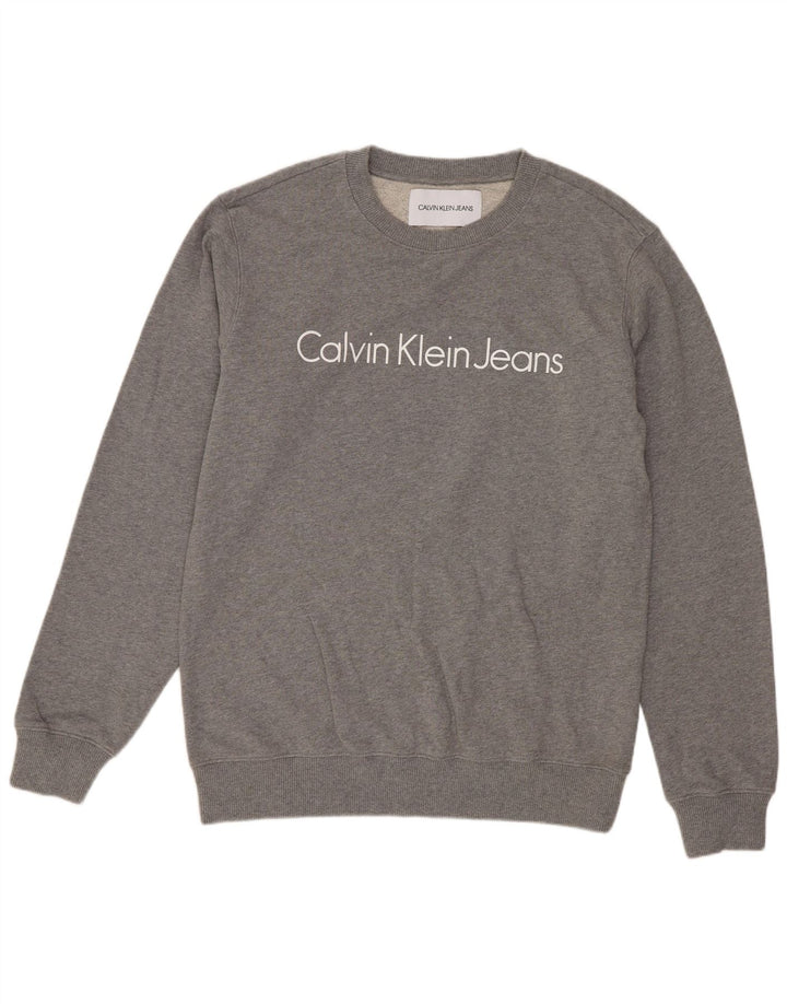 Calvin Klein Jeans muška trenirka s grafičkim motivima Srednje sivi pamuk