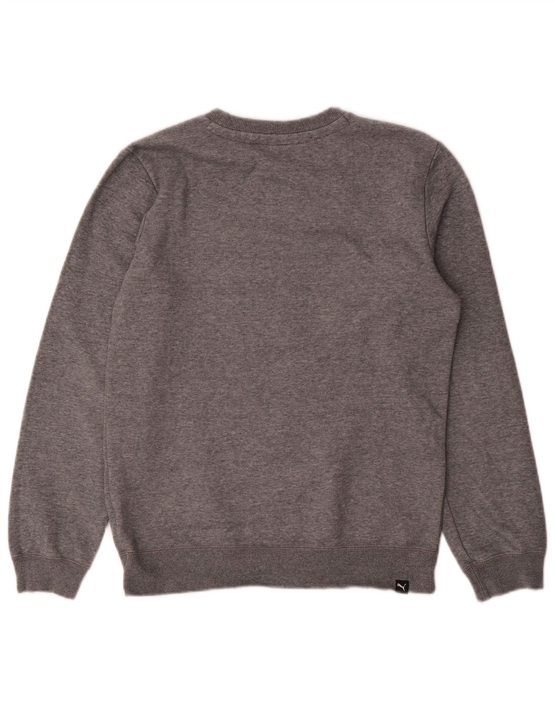 PUMA Boys Graphic Sweatshirt Džemper 13-14 godina siva