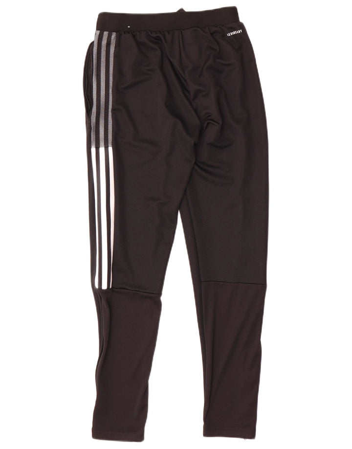 Adidas muške trenirke Boston Celtics XS crne poliesterske hlače