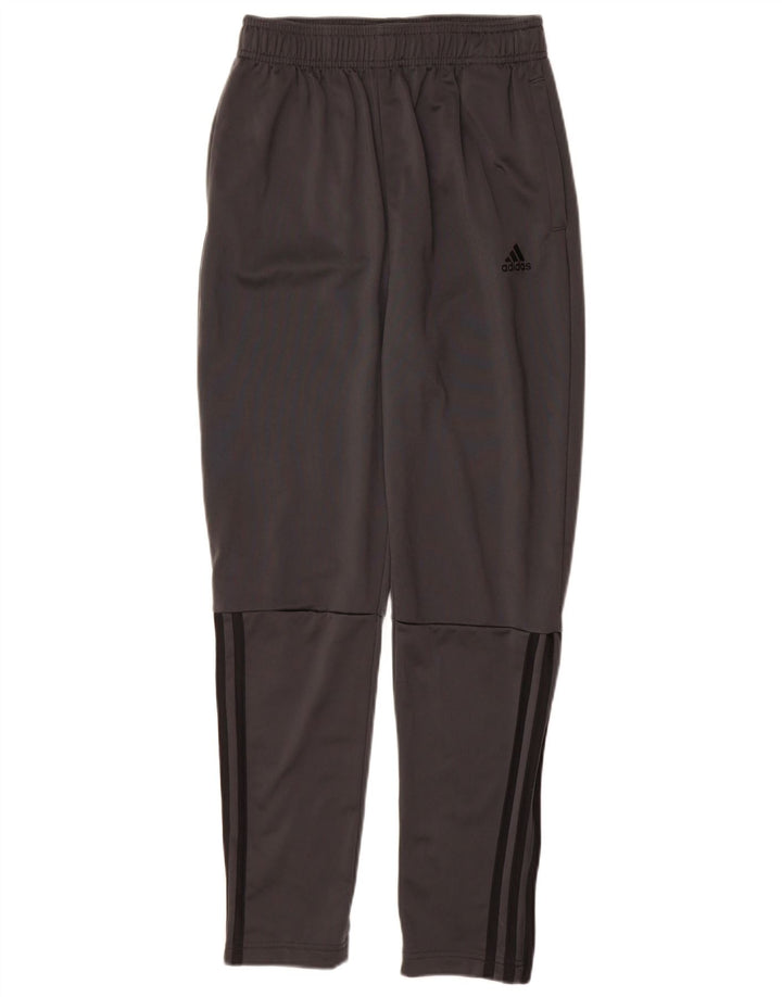 Adidas Hlače za trenirku za dječake 13-14 godina sive od poliestera