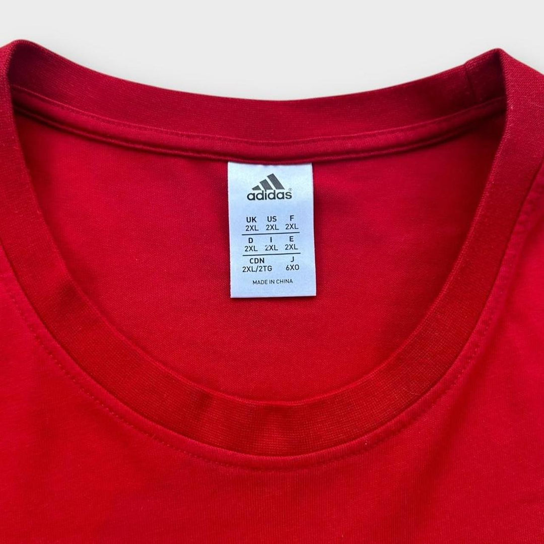 Lions majica za ragbi - XXL