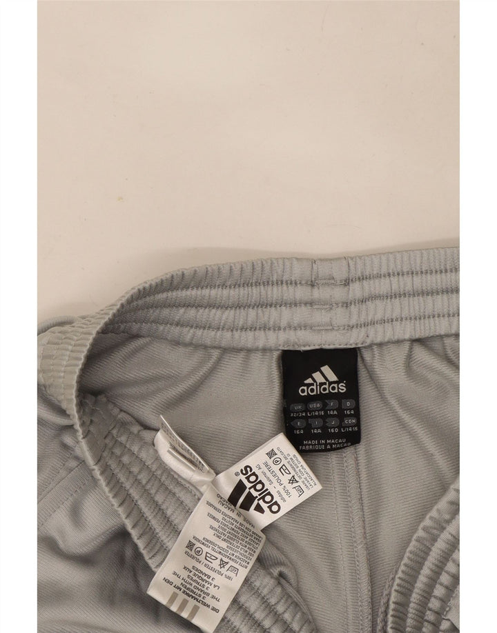 Adidas Hlače za trenirku za dječake 13-14 godina sive od poliestera