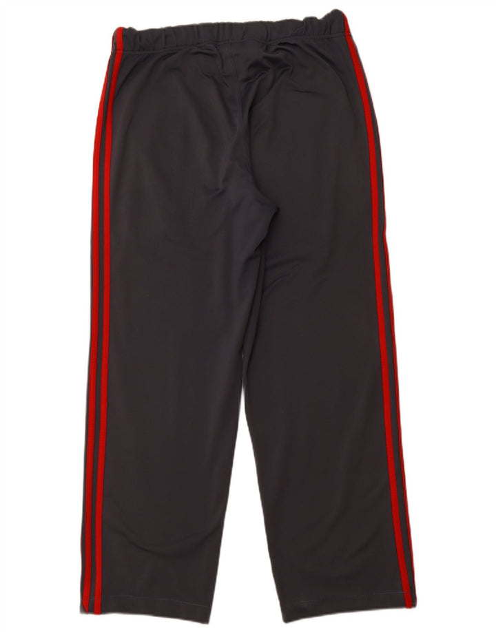 ADIDAS muške hlače za trenirku srednje sive boje od poliestera