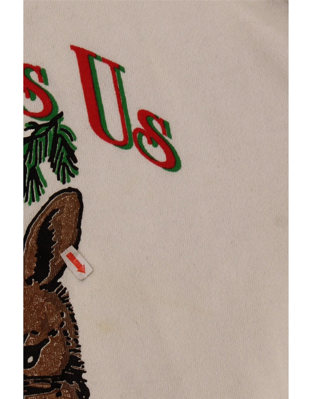 TULTEX Ženski džemper s grafičkim motivima UK 16 Veliki bijeli pamuk