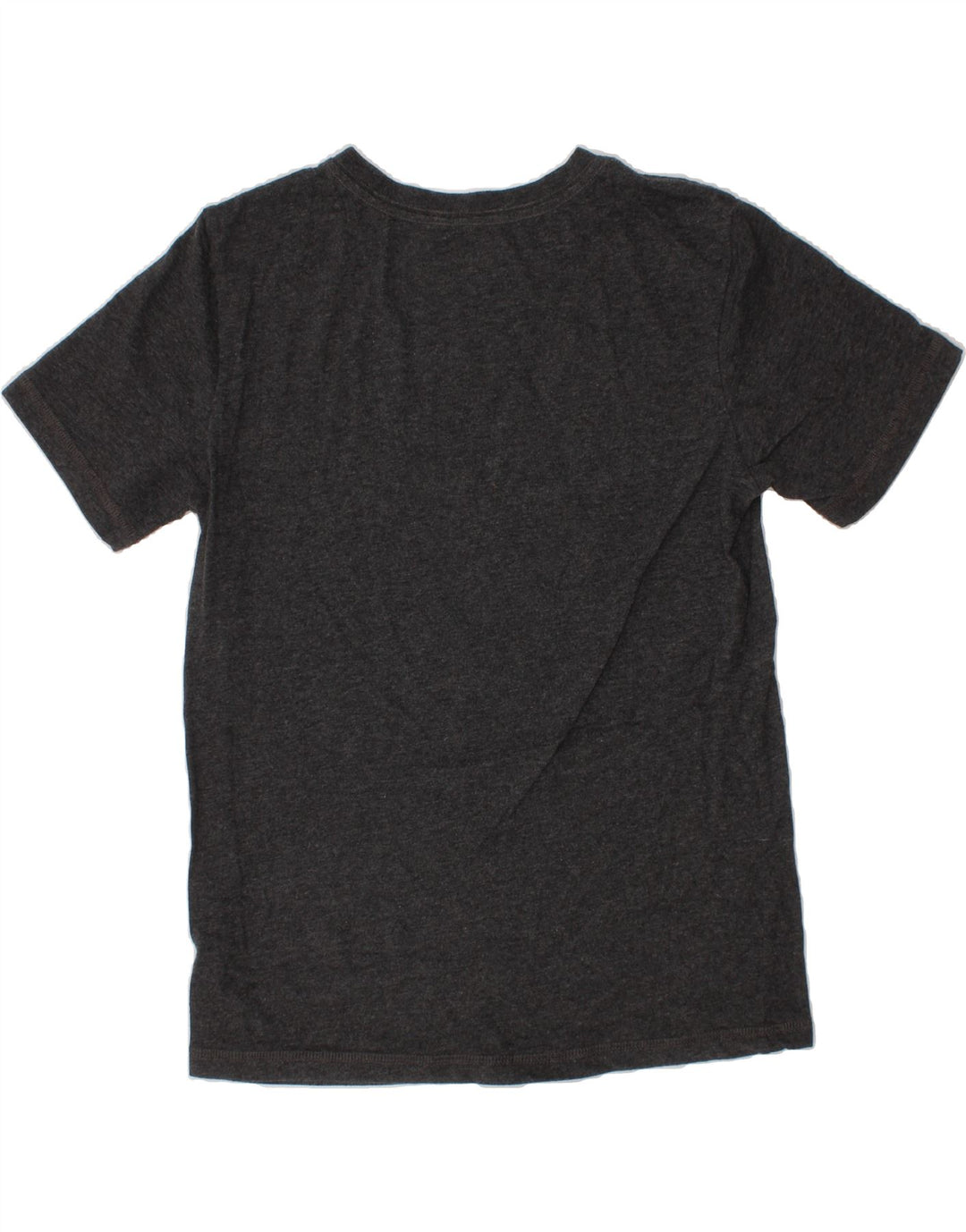 EDDIE BAUER Boys Graphic T-Shirt Top 10-11 Years Medium  Grey Nature Vintage Eddie Bauer and Second-Hand Eddie Bauer from Messina Hembry 