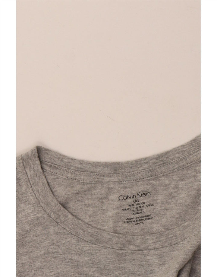 Calvin Klein muška majica kratkih rukava Large Grey Flected
