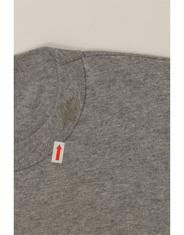 RUSSELL ATHLETIC Mens Graphic T-Shirt Top Large Grey Polyester Vintage Russell Athletic and Second-Hand Russell Athletic from Messina Hembry 