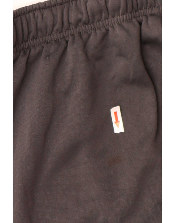 Nike Mens Dri Fit Trenirka Hlače Joggers Large Gray Poliester
