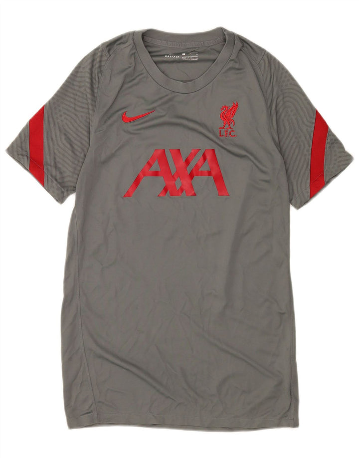 Nike Muška majica kratkih rukava Liverpool Graphic T-Shirt Mala Siva Colourblock Poliester