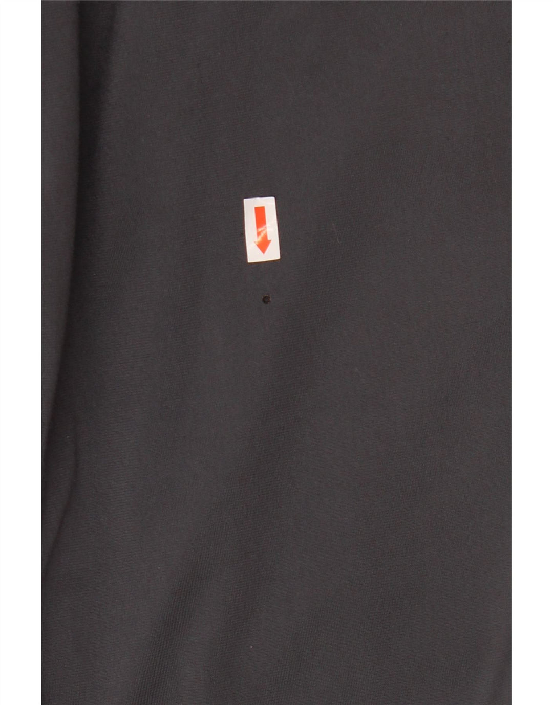 PUMA muške BVB Dortmund hlače za trenirku XL u sivoj boji