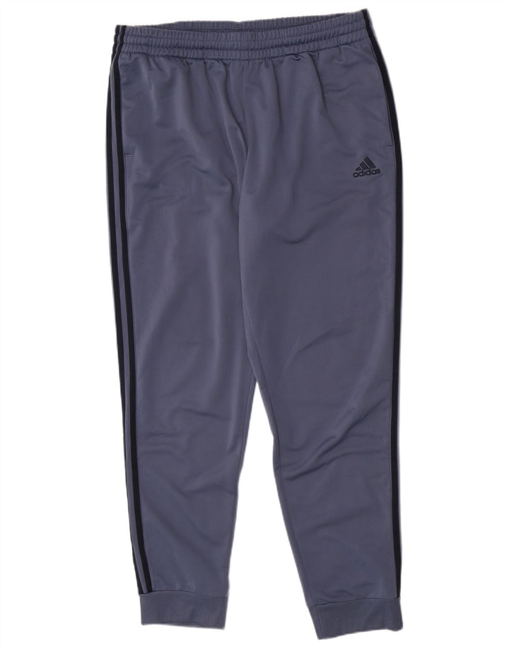 Adidas muška trenirka hlače Joggers XL plavi poliester