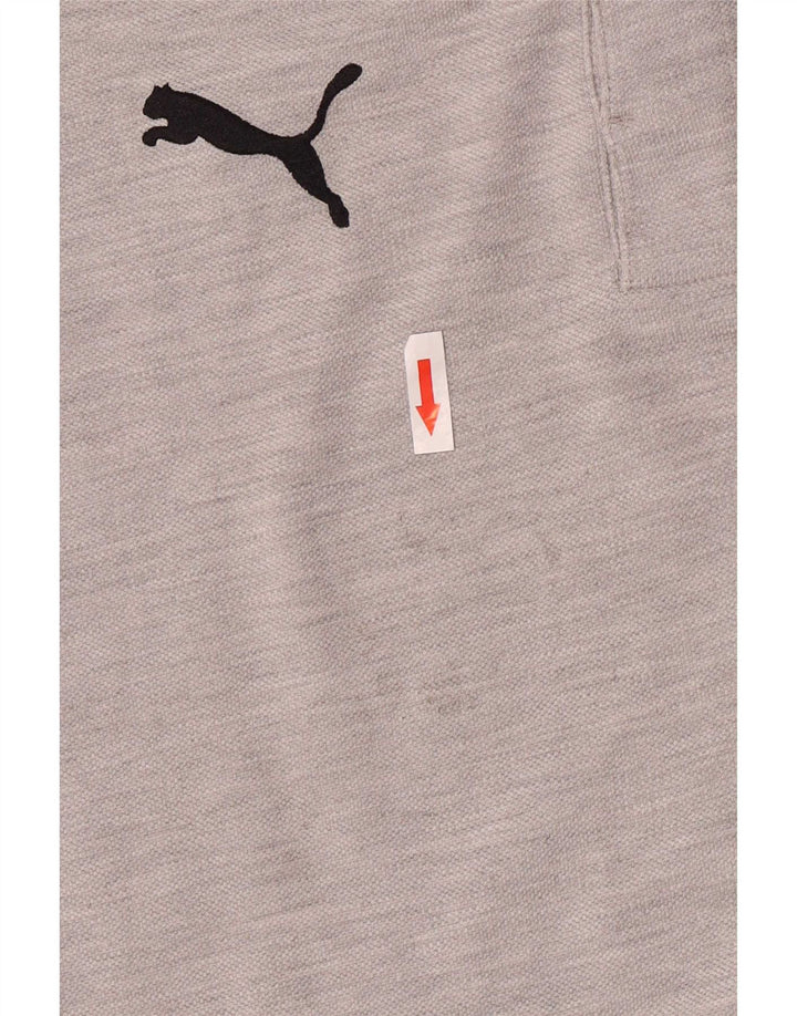 Puma muška majica s grafičkim motivima, srednje siva, pamuk