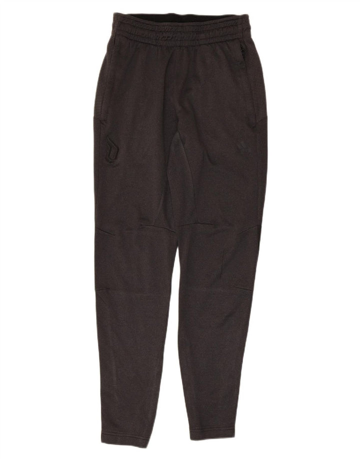 ADIDAS muške hlače za trenirku male sive boje od poliestera