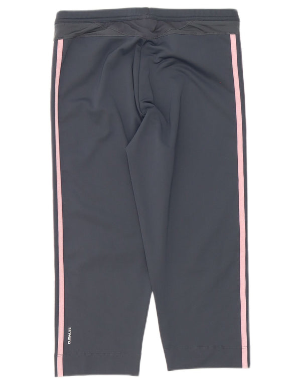 Adidas Ženske Clima 365 Capri Trenirke Hlače UK 16 Large Grey
