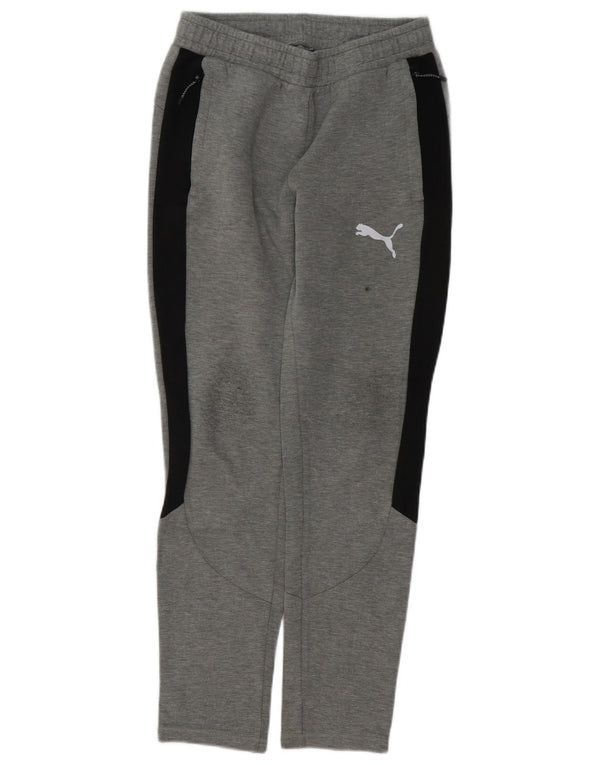 Puma muške trenirke Hlače male sive boje od pamuka