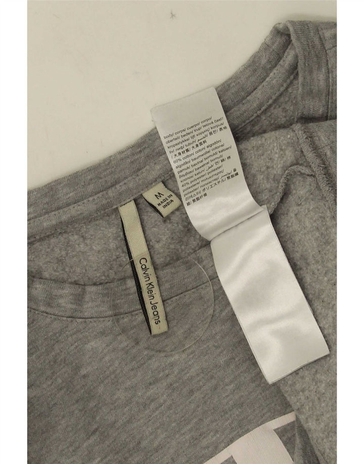 Calvin Klein Jeans muška trenirka s grafičkim motivima Srednje sivi pamuk
