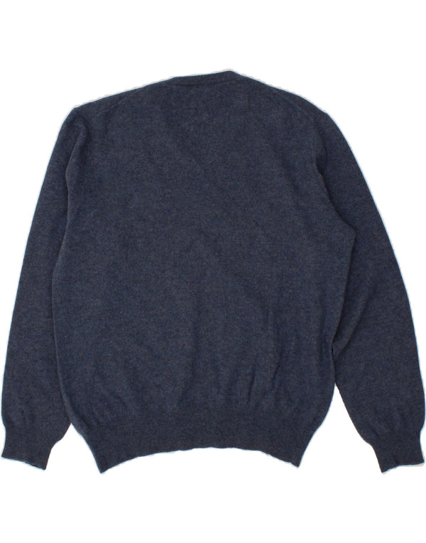 POLO RALPH LAUREN Womens V-Neck Jumper Sweater UK 16 Large Navy Blue Wool