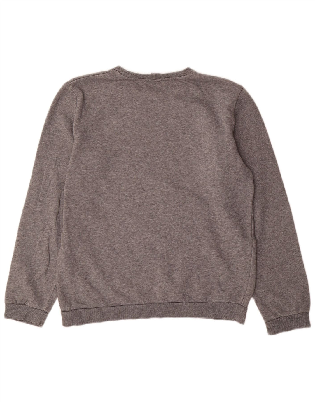 PUMA Boys Graphic Sweatshirt Džemper 15-16 godina sivi pamuk