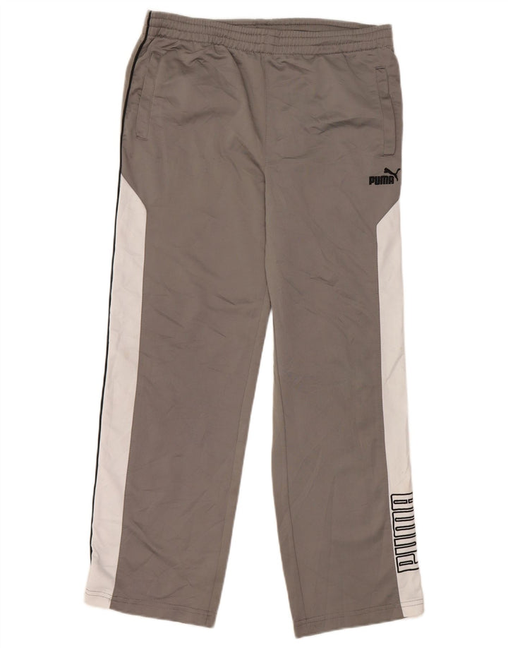 Puma Boys Graphic Trenirka hlače 9-10 godina srednje sive boje