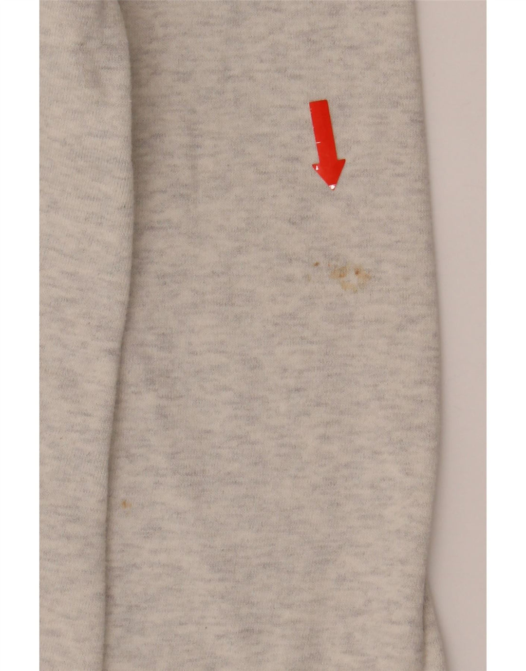 CHAMPION Womens Sweatshirt Jumper UK 16 Large Grey Cotton Vintage Champion and Second-Hand Champion from Messina Hembry 