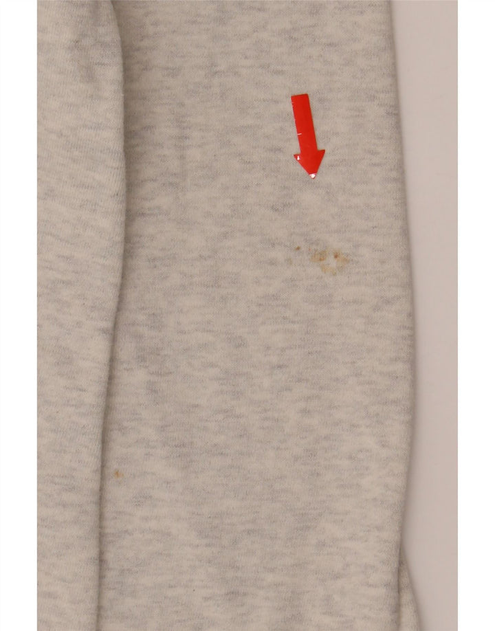 CHAMPION Womens Sweatshirt Jumper UK 16 Large Grey Cotton Vintage Champion and Second-Hand Champion from Messina Hembry 