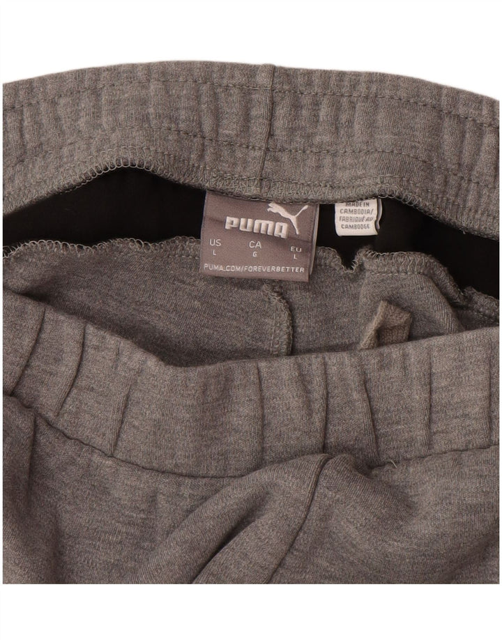 PUMA Muške hlače za trenirku Large Grey Colourblock Pamuk