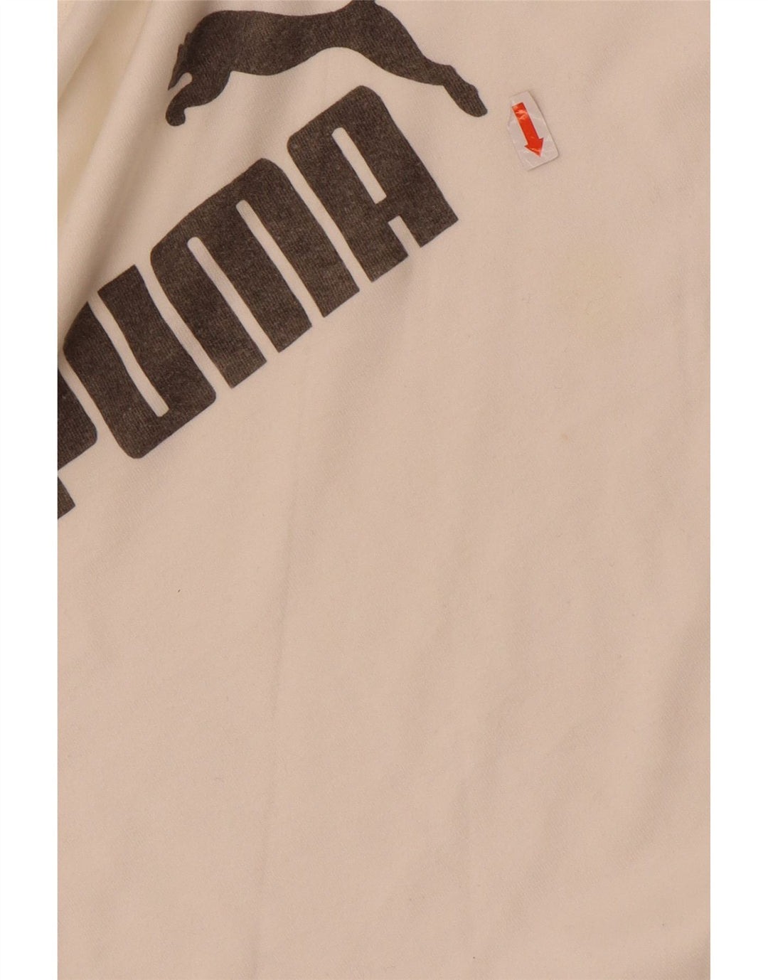 Puma muška majica dugih rukava Graphic Small White