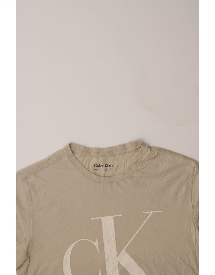 CALVIN KLEIN Mens Graphic T-Shirt Top Small Grey Cotton Vintage Calvin Klein and Second-Hand Calvin Klein from Messina Hembry 