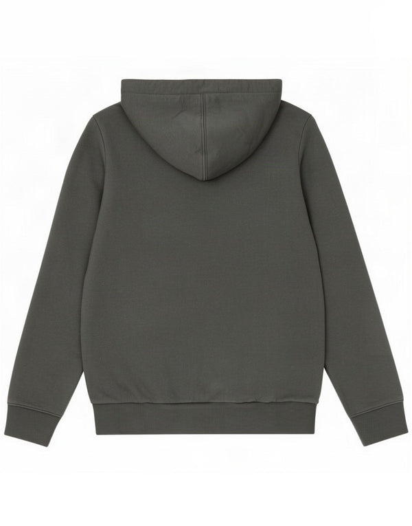 Napapijri Mens Geographic Graphic Hoodie Džemper Mali sivi pamuk