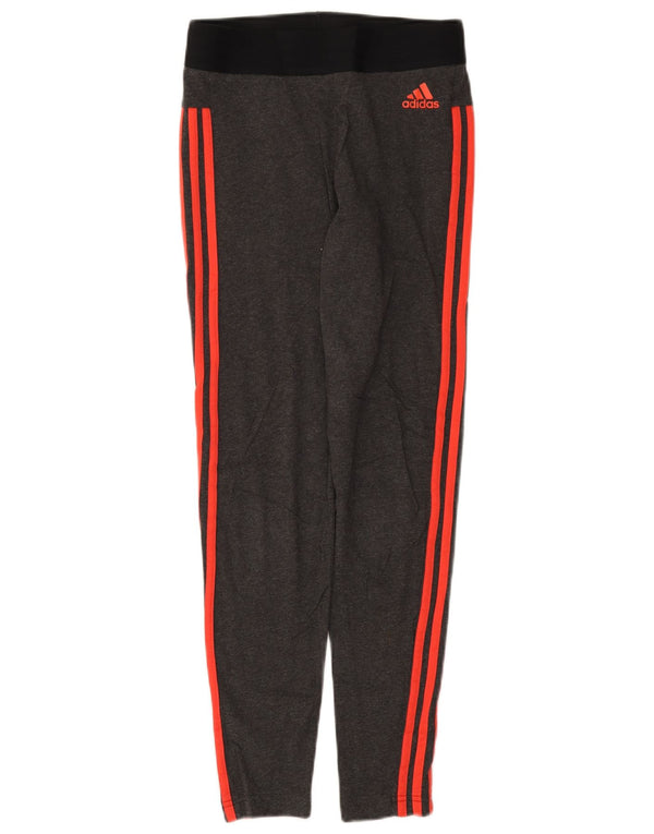 Adidas ženske tajice UK 12/14 pamuk srednje sive boje