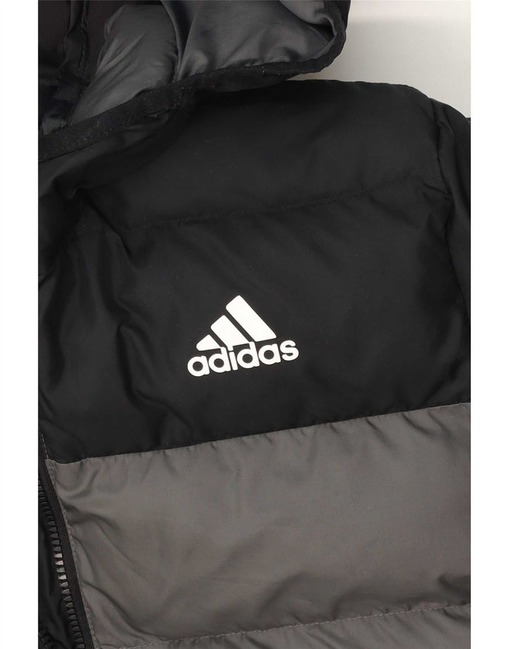 Podstavljena jakna Adidas s kapuljačom za dječake 13-14 godina u sivoj boji