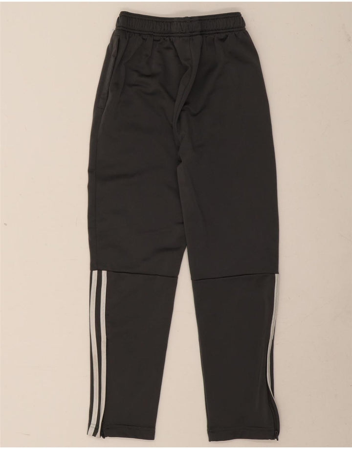 Adidas Hlače za trenirku za dječake 11-12 godina sive poliesterske