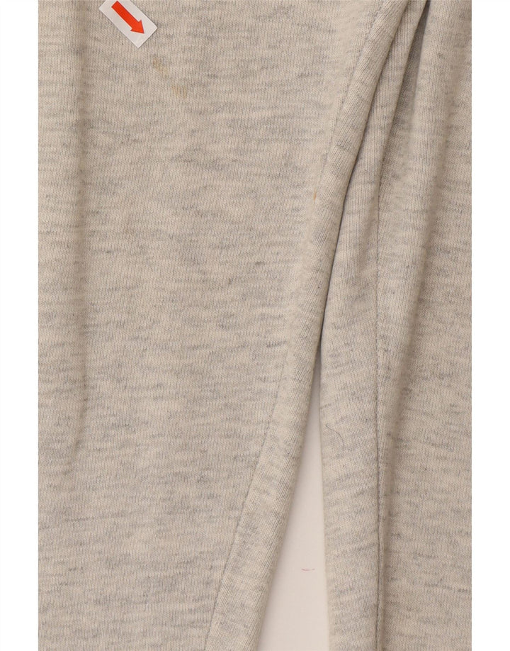 CHAMPION Muške trenirke Hlače velike sive pamučne boje