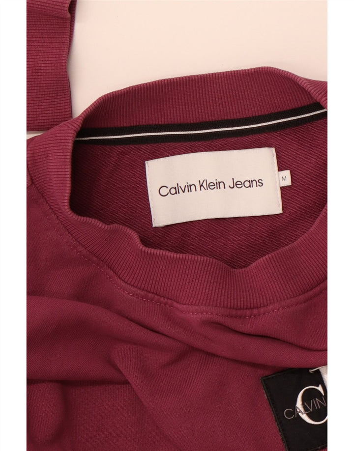 CALVIN KLEIN JEANS Muški džemper srednje ljubičaste boje