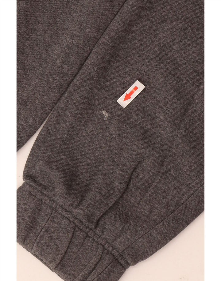 Nike Muška trenirka Hlače Joggers Large Grey Pamuk