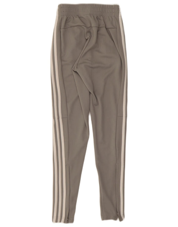 Adidas ženske hlače za trenirku UK 0/2 2XS sivi poliester
