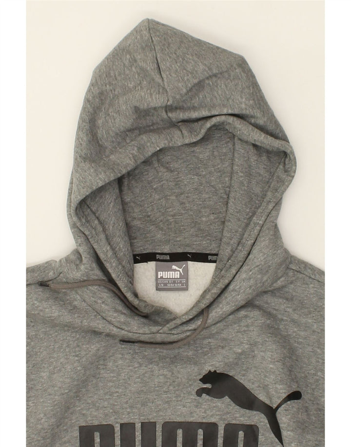 PUMA Mens Graphic Hoodie Jumper Large Grey Vintage Puma and Second-Hand Puma from Messina Hembry 