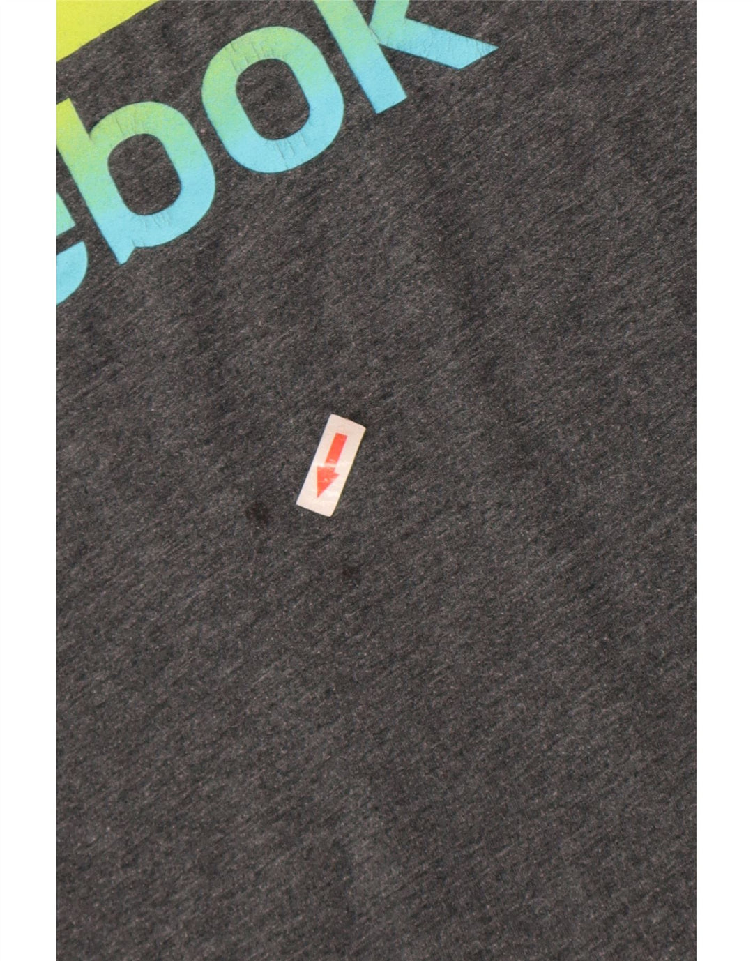 Reebok muška majica s grafičkim motivima, veliki sivi poliester