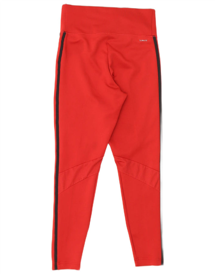 Adidas ženske Climalite tajice UK 12/14 Srednje bordo poliester